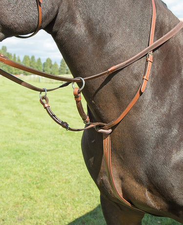 Buy Shires Avignon Running Martingale | Online for Equine