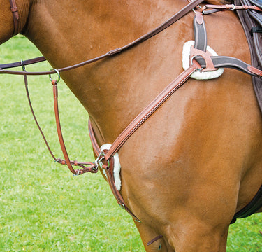 Buy Shires Avignon Five Point Breastplate| Online for Equine