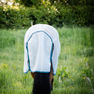 Buy the Horseware Ireland AmEco Bug Rug | Online for Equine