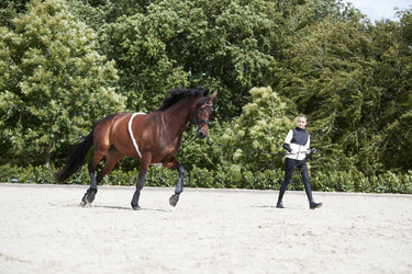 Buy Horse Guard Soft Loop Lunging Aid | Online for Equine