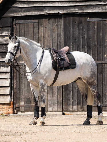 Buy Le Mieux Dressage Work Pad Black | Online for Equine