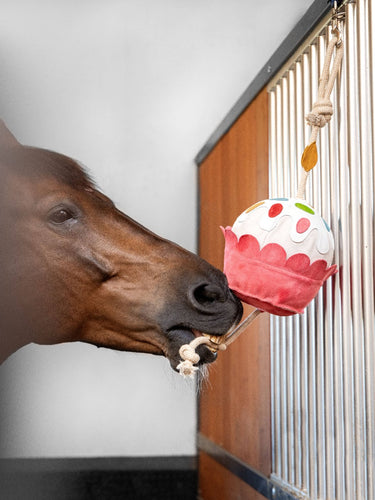 Buy Le Mieux Cupcake Horse Toy|Online for Equine