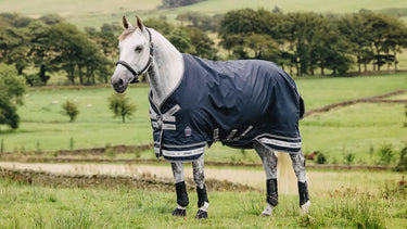 LeMieux 100g Arika Storm-Tek Rug Navy