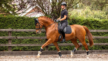 LeMieux Soft Shell Anti Slip Dressage Square Black