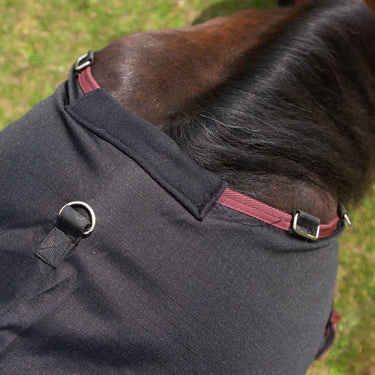 Buy Gallop Trojan Dual 50g Turnout Rug & Neck Set| Online for Equine