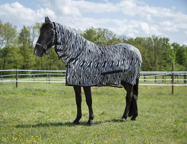 Buy Riding World Combo Zebra Print Mesh Fly Rug - Online for Equine