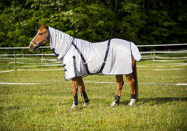 Buy Norton Combo Mesh Fly Rug - Online for Equine