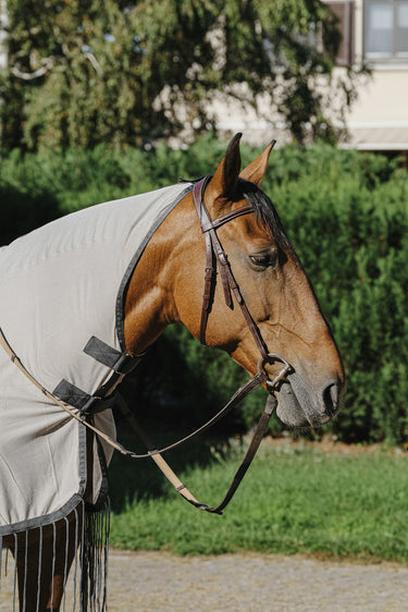 Buy Riding World Ride On Fly Rug | Online for Equine
