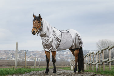 Buy Riding World Sweet Itch Sheet | Online for Equine