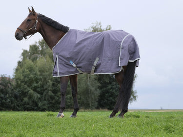 Buy Equitheme Tyrex Recycled 150G Standard Neck Turnout Rug | Online for Equine