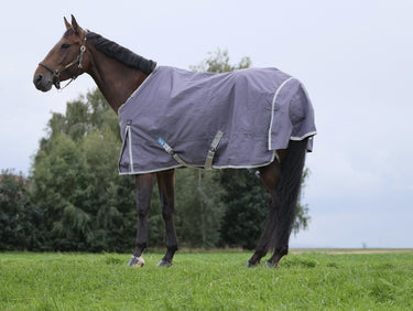 Buy Equitheme Tyrex Recycled 50G Standard Neck Turnout Rug | Online for Equine