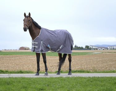 Buy Equitheme Tyrex Recycled 0G Standard Neck Turnout Rug | Online for Equine