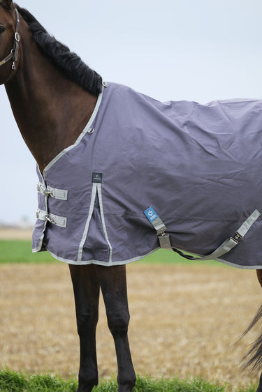 Buy Equitheme Tyrex Recycled 0G Standard Neck Turnout Rug | Online for Equine