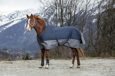 Equi-Th&egrave;me Tyrex 600D No Fill Turnout Rug - Navy/Grey