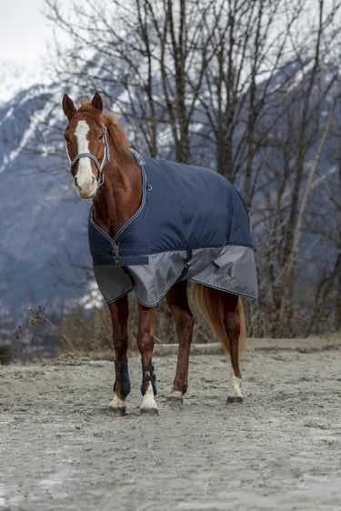 Equi-Th&egrave;me Tyrex 600D 50G Turnout Rug - Navy/Grey