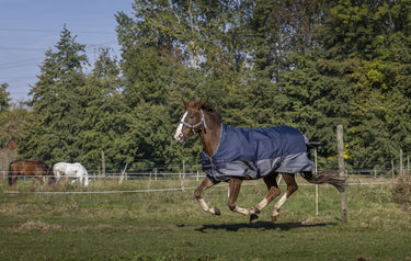 Equi-Th&egrave;me Tyrex 600D 150G High Neck Turnout Rug - Navy/Grey