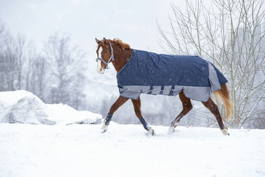 Equi-Th&egrave;me Tyrex 600D 300G Turnout Rug With Belly Belt