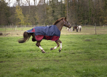 Equi-Th&egrave;me Tyrex 1200D 50G Turnout Rug - Navy/Burgundy