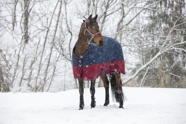 Buy Equi-Thème Tyrex 1200D 450G Turnout Rug - Navy/Burgundy| Online for Equine