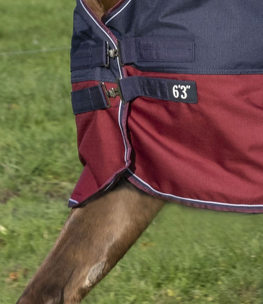 Buy Equi-Theme Tyrex 1200D 50G High Neck Turnout Rug - Navy/Burgundy| Online for Equine
