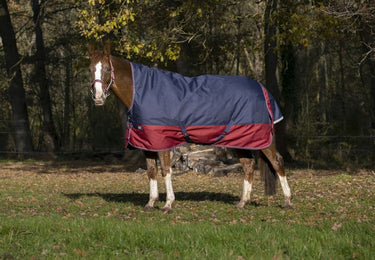 Buy Equi-Thème Tyrex 1200D 150G High Neck Turnout Rug - Navy/Burgundy| Online for Equine