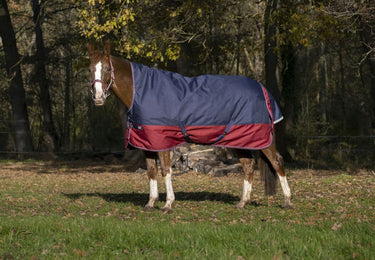 Equi-Th&egrave;me Tyrex 1200D 150G High Neck Turnout Rug - Navy/Burgundy