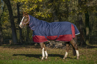 Equi-Th&egrave;me Tyrex 1200D No Fill Combo Neck Turnout Rug - Navy/Burgundy