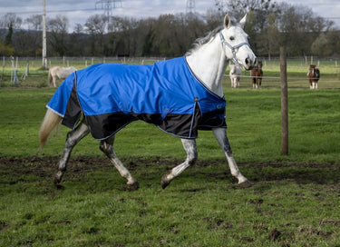 Equi-Th&egrave;me Tyrex 1200D "Aisance" 150G Turnout Rug - Blue/Black