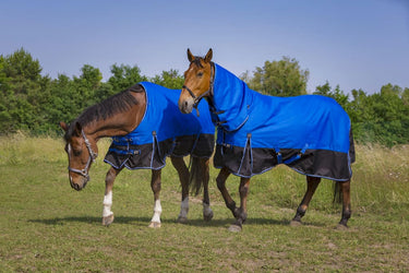 Equi-Th&egrave;me Tyrex 1200D "Aisance" 150G Turnout Rug - Blue/Black