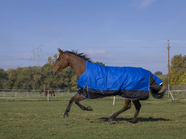 Equi-Th&egrave;me Tyrex 1200D "Aisance" 50G High Neck Turnout Rug - Blue/Black