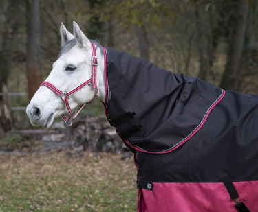 Equi-Th&egrave;me Tyrex 1200D No Fill Neck Cover - Black/Raspberry