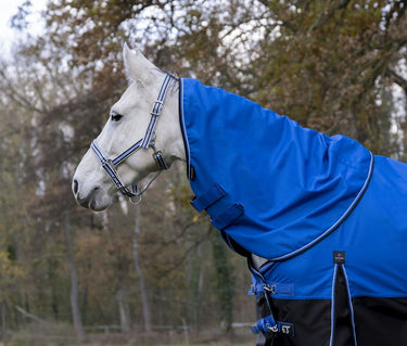 Buy Equi-Thème Tyrex 1200D No Fill Neck Cover - Blue/Black| Online for Equine