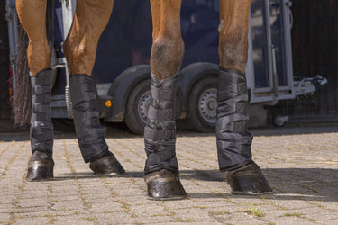 Riding World Low Shipping Boots
