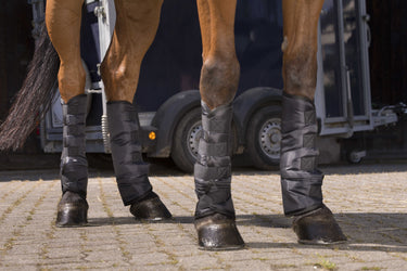 Riding World Low Shipping Boots