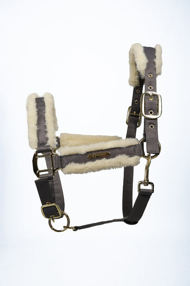Coldstream Langlee Luxury Head Collar & Lead Rope