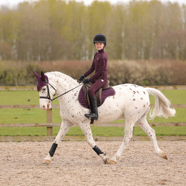Hy Equestrian Enchanted Collection Fly Veil