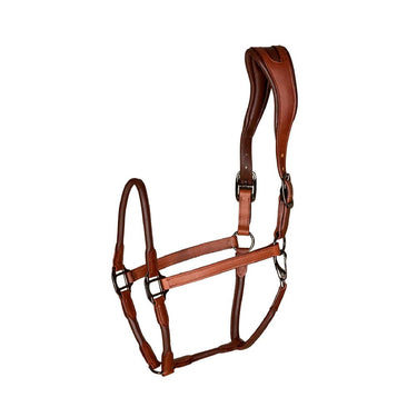 Buy Catago Leather Halter| Online for Equine