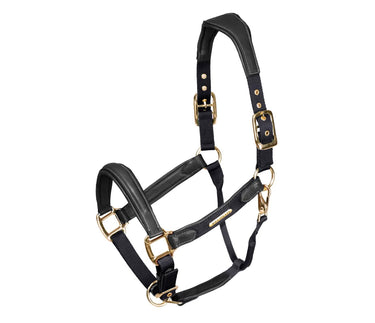 Buy Shires Velociti Lusso Padded Leather Headcollar | Online for Equine