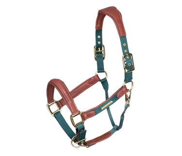 Buy Shires Velociti Lusso Padded Leather Headcollar | Online for Equine