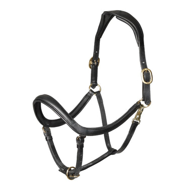 Buy Shires Velociti RAPIDA Curved Leather Headcollar | Online for Equine