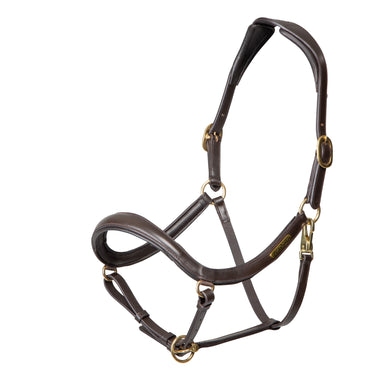 Buy Shires Velociti RAPIDA Curved Leather Headcollar | Online for Equine