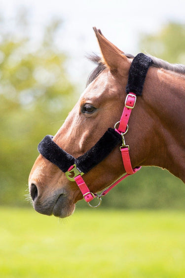 Buy Shires Fleece Lined Headcollar | Online for Equine