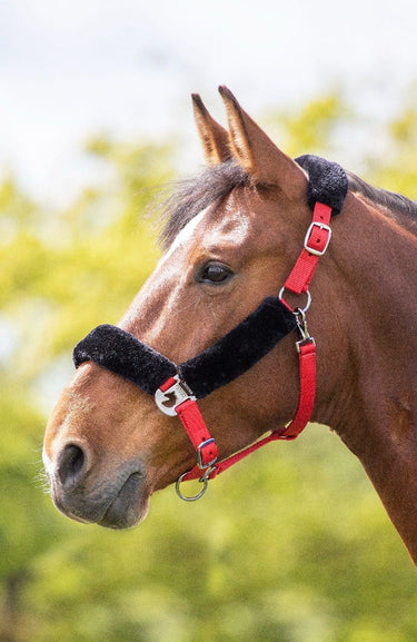 Buy Shires Fleece Lined Headcollar | Online for Equine