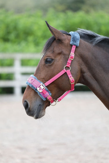 Shires Fleece Lined Lunging Cavesson