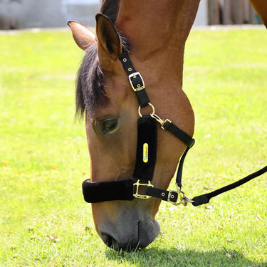 Shires ARMA Faux Fur Headcollar & Lead Rope