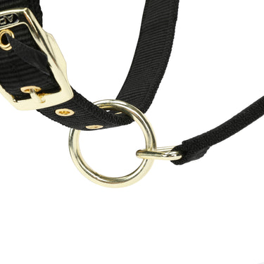 Shires Black ARMA Padded Headcollar| Online For Equine