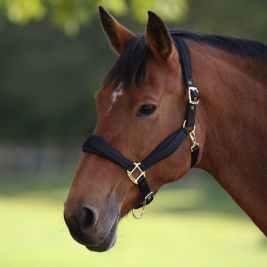 Shires Black ARMA Padded Headcollar| Online For Equine