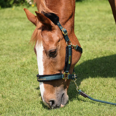 Shires ARMA Logo Headcollar & Lead Rope