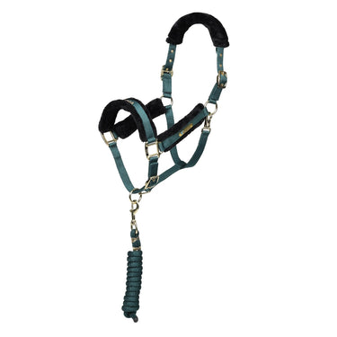Buy Shires ARMA Logo Headcollar & Lead Rope | Online for Equine