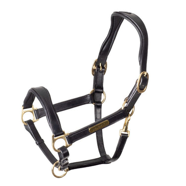 Buy Shires Velociti RAPIDA Cushioned Leather Heacollar | Online for Equine